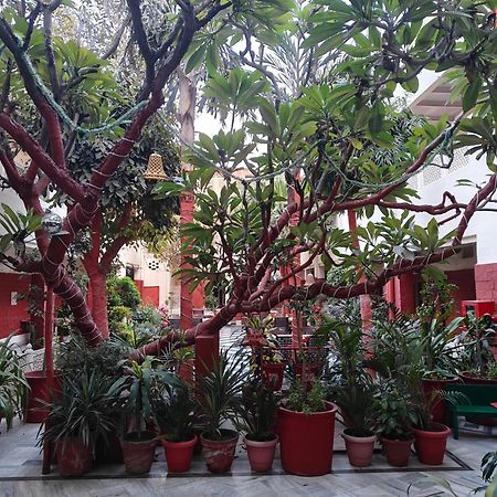 Hotel Tourist Rest House Agra Kültér fotó